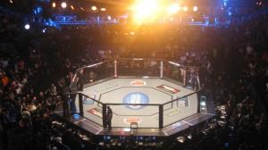 A fisioterapia na vida dos atletas de MMA